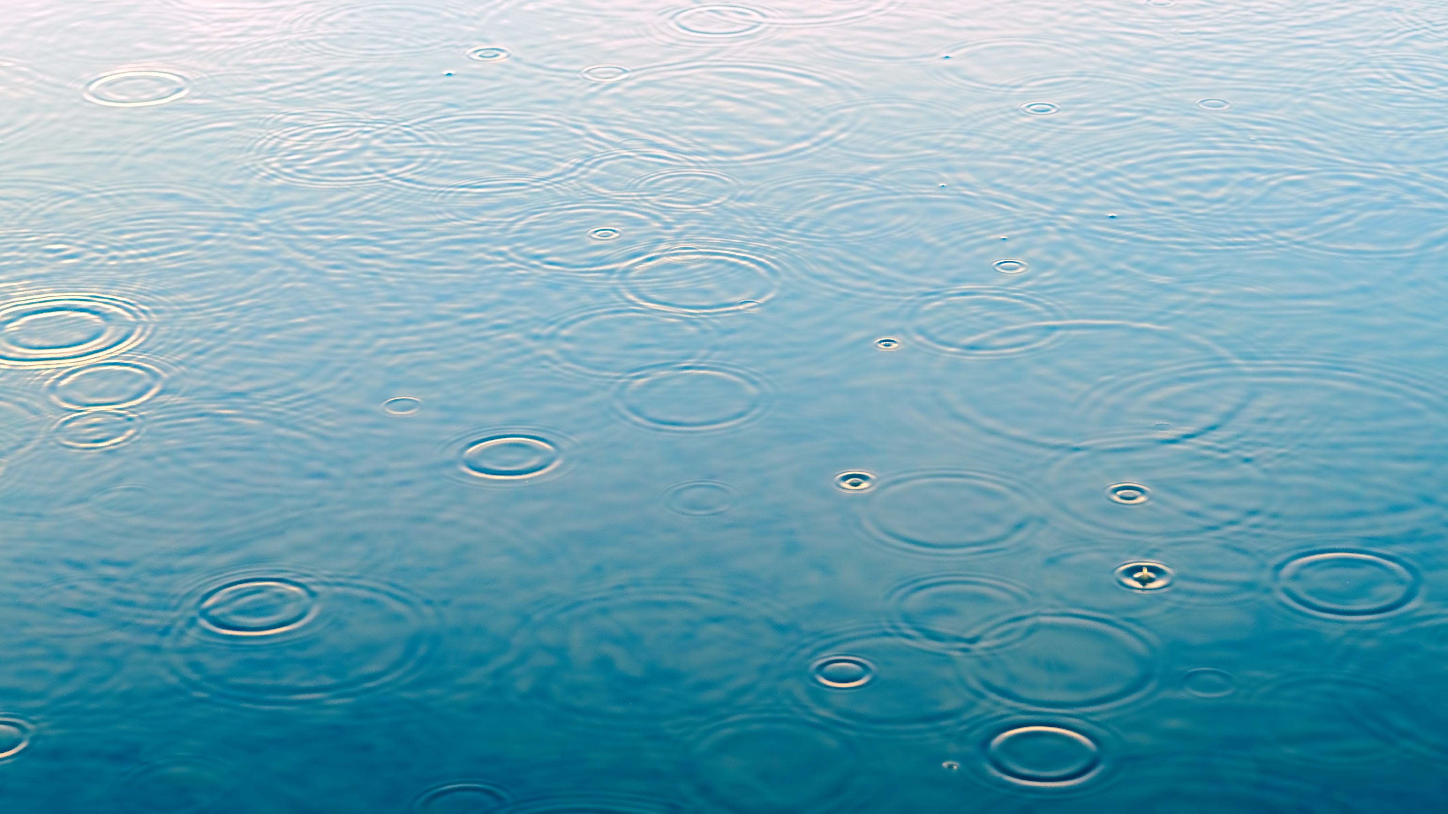 pexels-johannes-plenio