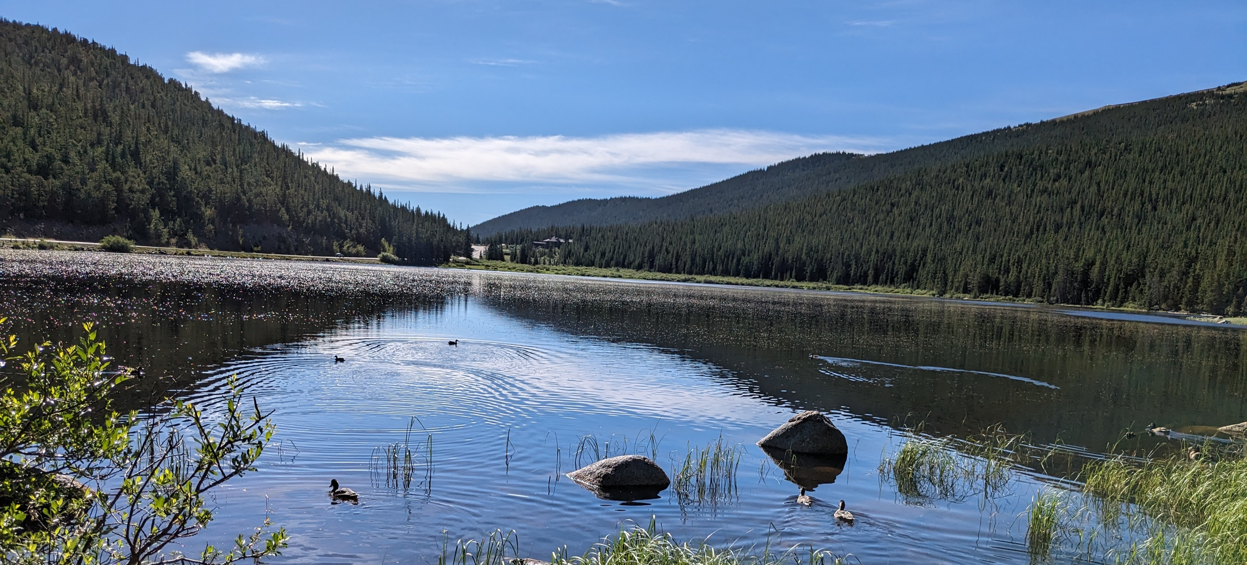 Photo credit: Me, Adam Gao